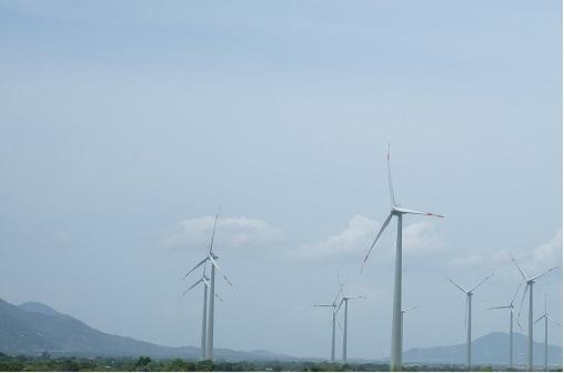 Ninh Thuận thu hút nhiều dự án điện gió trong thời gian qua. Ảnh: Linh Đan