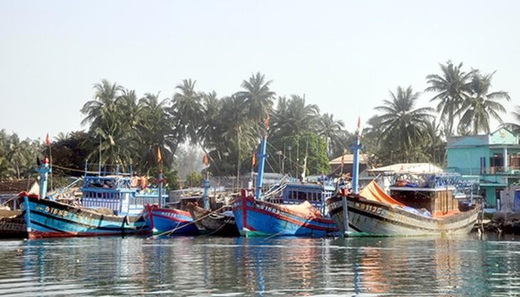 Hệ thống cảng cá và khu neo đậu tại Quảng Nam hiện tại chưa được đầu tư theo đúng quy hoạch của Chính phủ