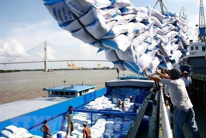 Bộ Công Thương kiến nghị Chính phủ giao Bộ GTVT làm việc với Tổng Công ty Tân Cảng Sài Gòn sớm mở lại tất cả các máng đóng rút gạo trong thời gian sớm nhất nhằm giảm bớt tình trạng ùn tắc container xuất khẩu gạo.
