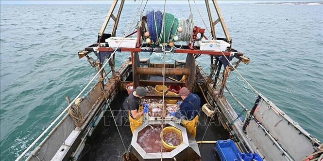 Thuyền đánh cá của ngư dân tại cảng Saint-Jean de Luz thuộc Vịnh Biscay, bờ biển phía Tây của Pháp. Ảnh: AFP/TTXVN