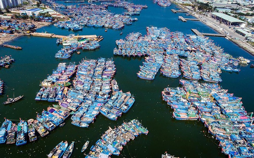 Âu thuyền và cảng cá Thọ Quang - Đà Nẵng (Ảnh Hải Sơn/VOV).