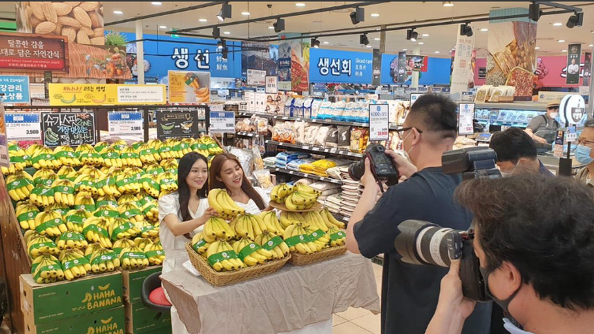 Chuối Lopang trồng tại Gia Lai, Việt Nam được giới thiệu, phân phối tại Lotte Mart, Hàn Quốc.
