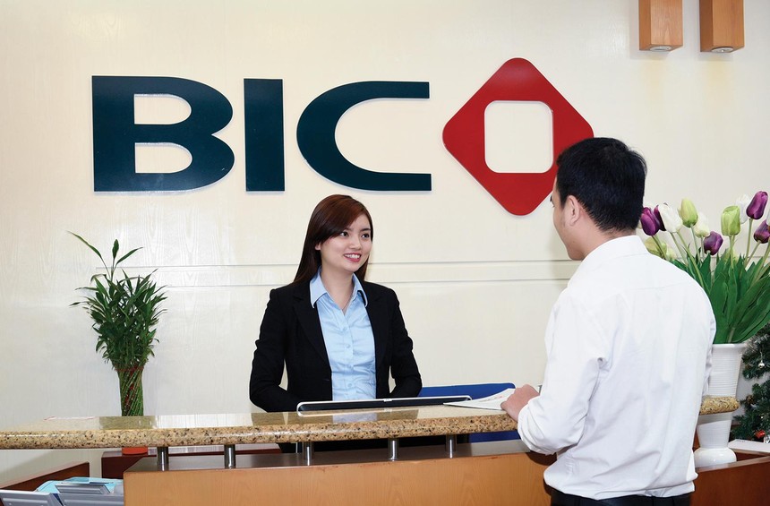 Những nhà bảo hiểm tiên phong như BIC sẽ có nhiều lợi thế tại thị trường hải ngoại. Ảnh: Dũng Minh