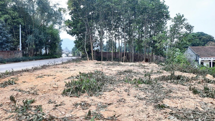Một thửa đất tại xã Bắc Sơn, huyện Sóc Sơn đang được rao bán quanh mức giá 10 triệu đồng/m2. Ảnh: Thành Nguyễn