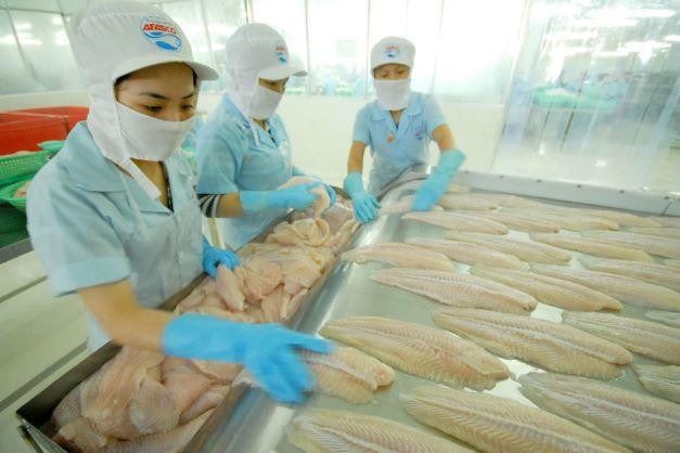 Canada đã trở thành thị trường nhập khẩu cá tra lớn thứ 2 của Việt Nam trong khối CPTPP.