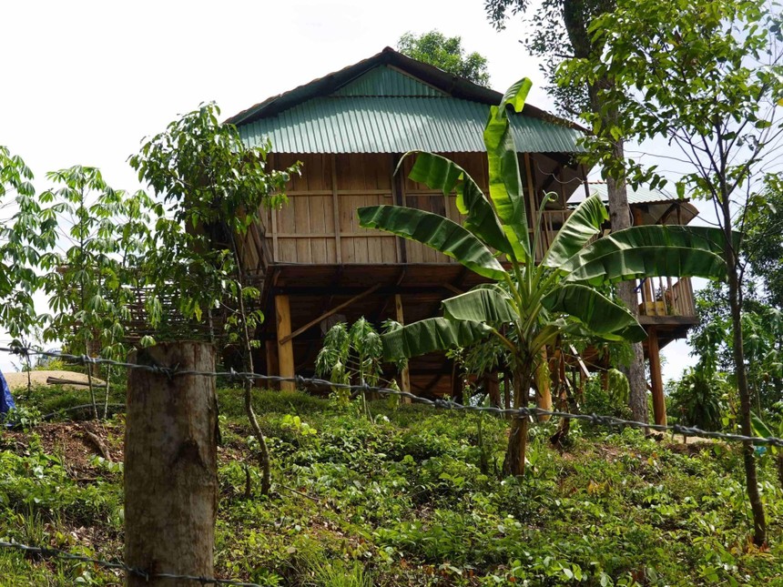 Khu đất rừng phòng hộ bị chiếm để dựng nhà sàn của bà Trương Thị Lệ Thâm ở xã Vĩnh Hảo, huyện Vĩnh Thạnh. Ảnh DT