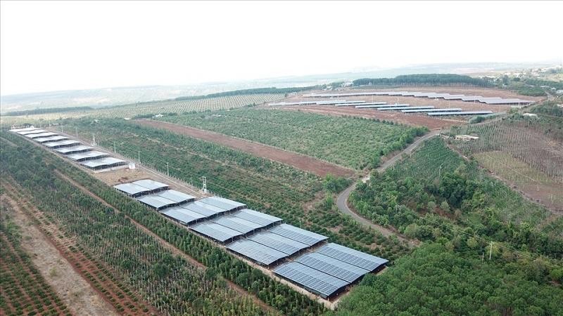 Một dự án điện mặt trời ở tỉnh Gia Lai. Ảnh: Thanh Tuấn
