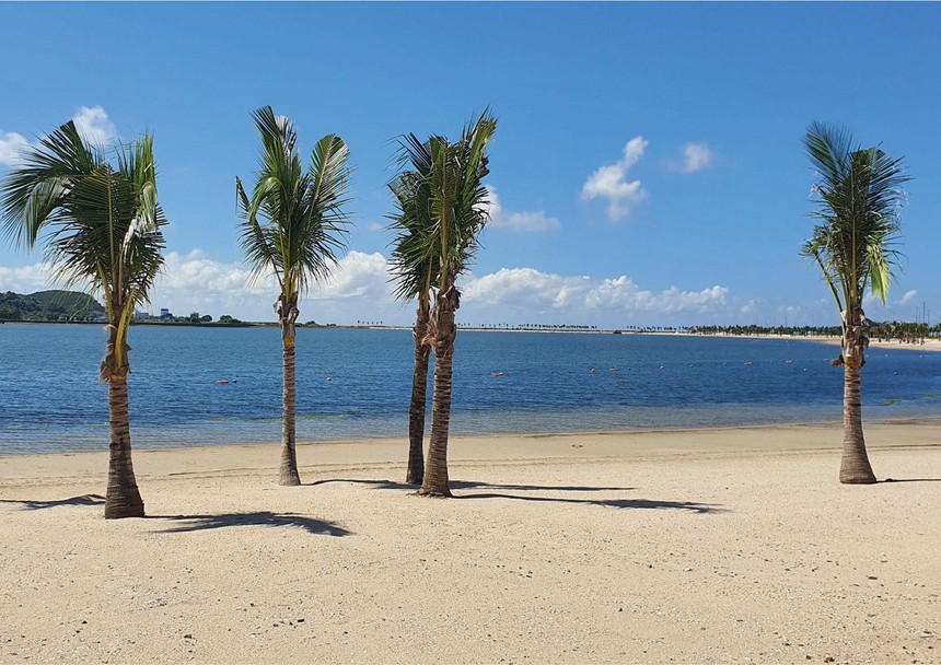 Dự án Khu du lịch quốc tế Đồi Rồng sở hữu bãi biển đẹp tại Hải Phòng