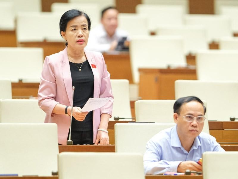 Đại biểu Nguyễn Thị Kim Thúy (Đà Nẵng) chất vấn Bộ trưởng Nguyễn Văn Hùng.