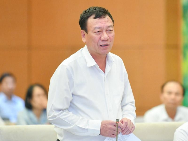 Tổng Thanh tra Chính phủ Đoàn Hồng Phong phát biểu tại phiên thảo luận.