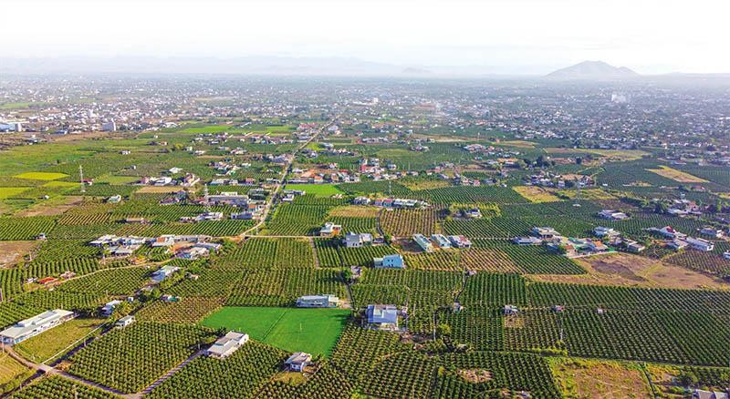 Tỉnh Bình Thuận đang tập trung phát triển ngành nông nghiệp hiện đại, bền vững, có giá trị gia tăng cao