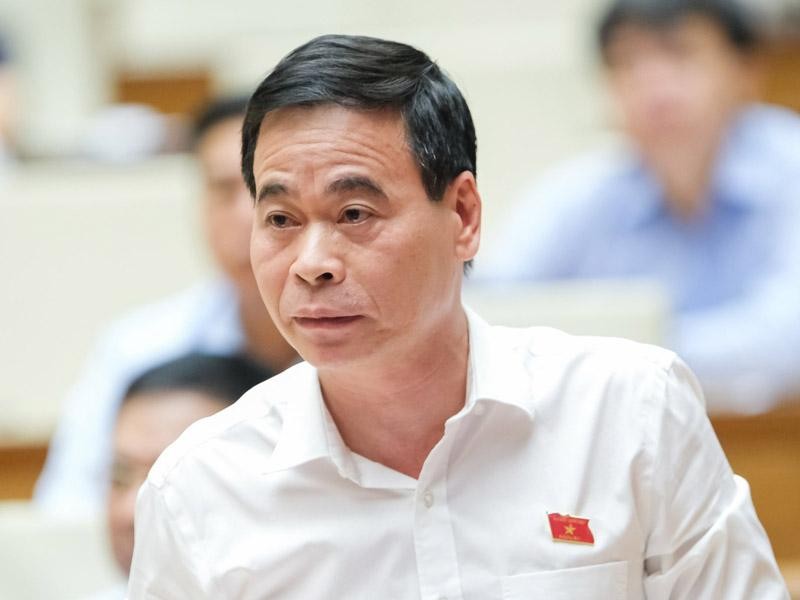 Phó chủ nhiệm Ủy ban Tư pháp Nguyễn Mạnh Cường phát biểu tại hội nghị.