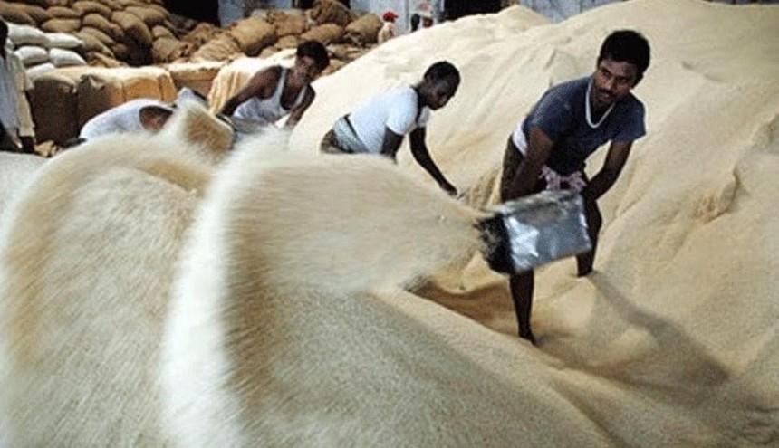 Bloomberg: Ấn Độ đang xem xét cấm xuất khẩu hầu hết các loại gạo