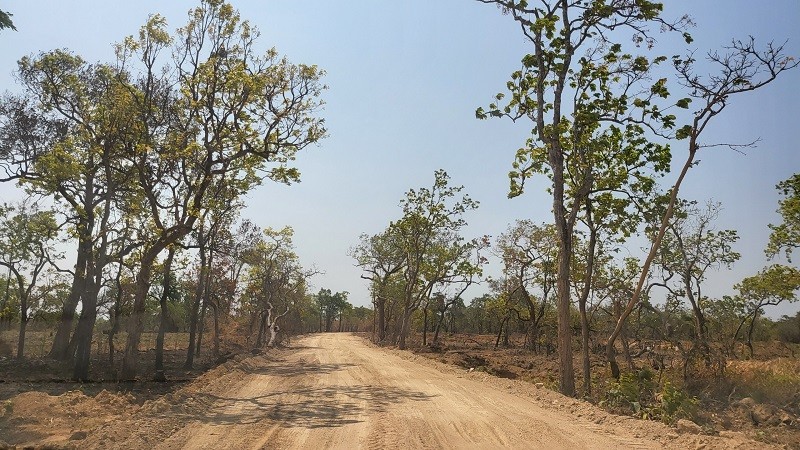 Con đường tự mở trên đất rừng sản xuất.