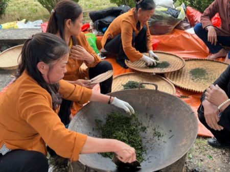 Ở Xã Tân Cương (TP Thái Nguyên, Tỉnh Thái Nguyên đã có 6/12 hợp tác xã có sản phẩm đạt tiêu chuẩn OCOP từ 3 đến 5 sao - Ảnh thi sao chè tại lễ hội trà xuân Tân Cương 