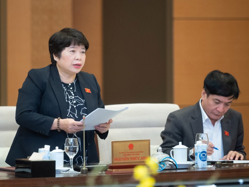 Chủ nhiệm Uỷ ban Xã hội Nguyễn Thuý Anh trình bày báo cáo kết quả giám sát.