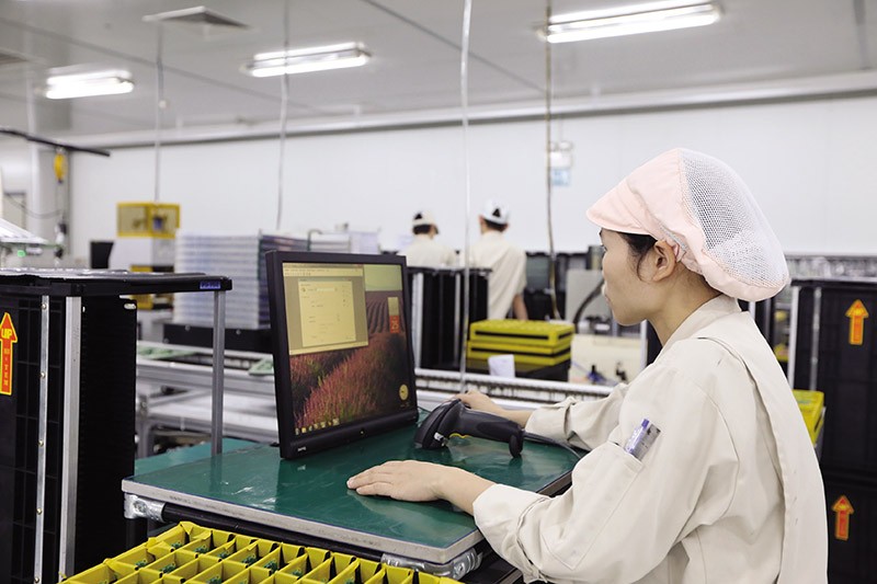 Dòng vốn đầu tư vào Việt Nam chưa đạt như kỳ vọng. Trong ảnh: Sản xuất tại Công ty NMS Nhật Bản. Ảnh: Đức Thanh