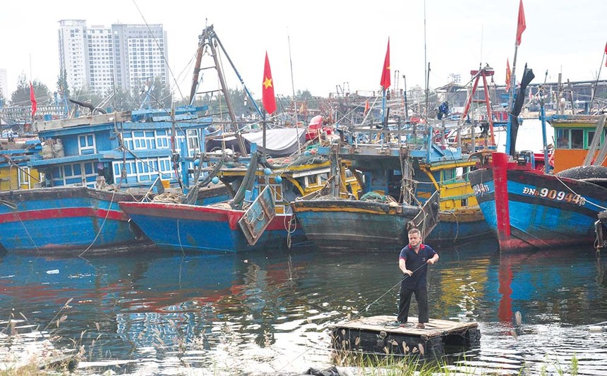 Vì những lý do khác nhau, nhiều tàu cá ở Đà Nẵng không ra khơi, khiến sản lượng khai thác giảm mạnh Ảnh: H.A