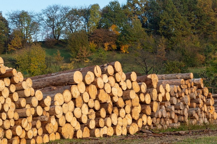 EU tăng kiểm soát một số mặt hàng nông lâm sản xuất khẩu liên quan đến phá rừng và suy thoái rừng .
