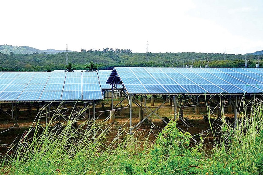 Một dự án điện mặt trời mái nhà núp bóng trang trại