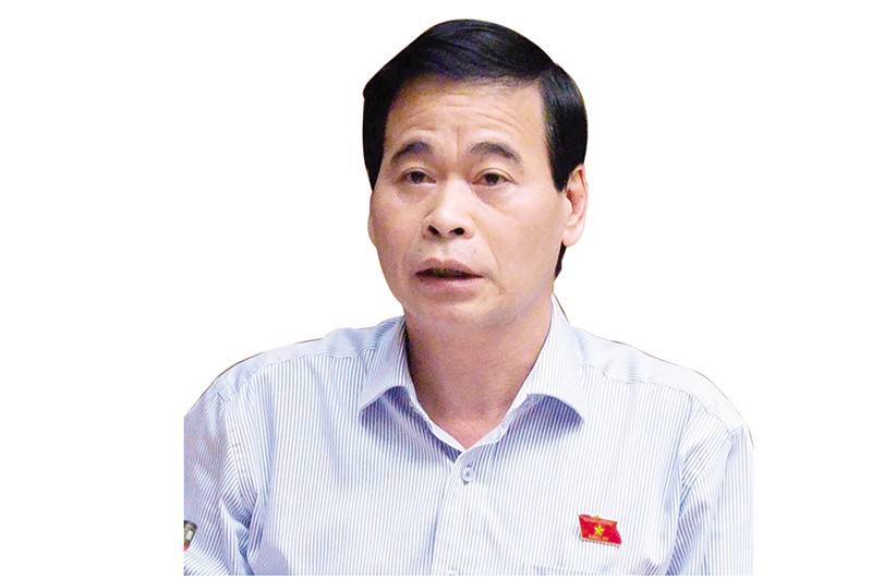 Phó chủ nhiệm Ủy ban Tư pháp của Quốc hội, đại biểu Nguyễn Mạnh Cường.