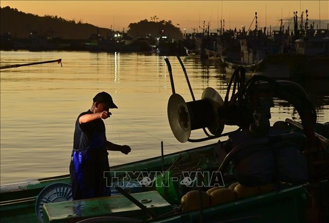 Ngư dân đánh cá tại cảng ở Soma, tỉnh Fukushima (Nhật Bản), ngày 24/8/2023. Ảnh: Kyodo/TTXVN 