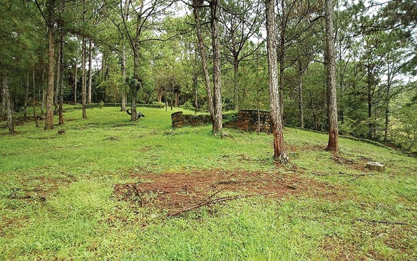 Nhiều doanh nghiệp đầu tư vào đất rừng ở Lâm Đồng sẽ bị thu hồi lại đất rừng phòng hộ