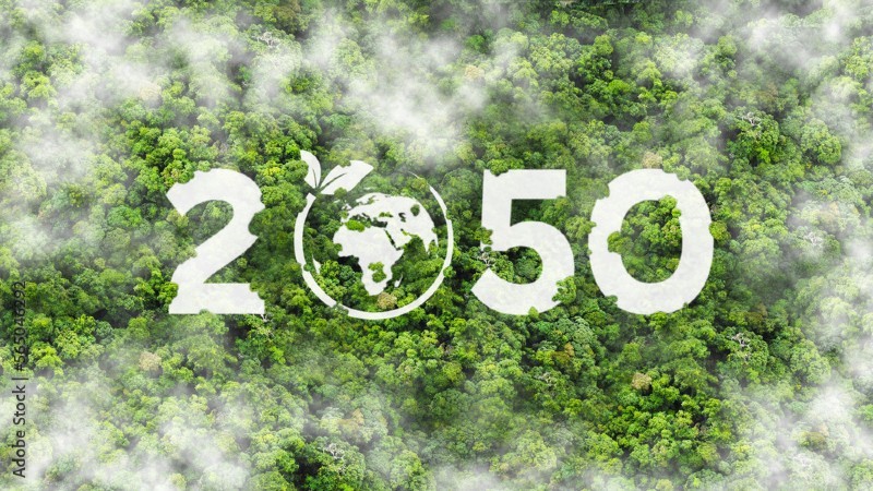 Việt Nam đặt mục tiêu phát thải ròng bằng 0 vào năm 2050. 