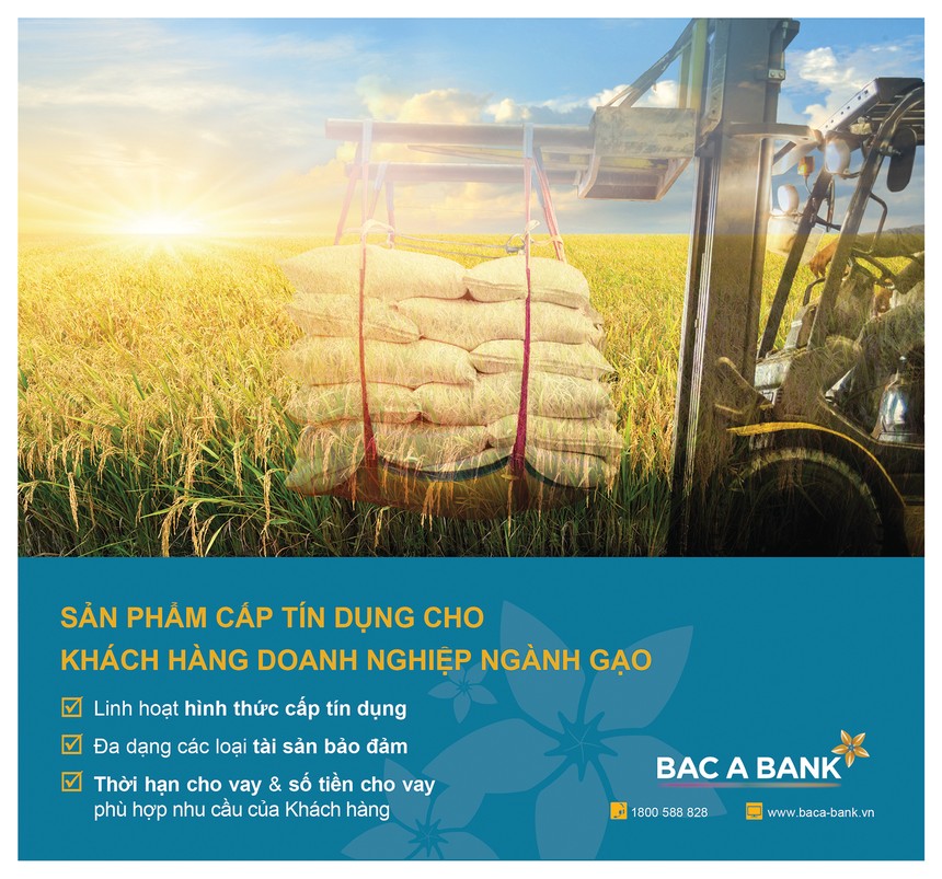Ngành gạo đón “trợ lực” từ BAC A BANK