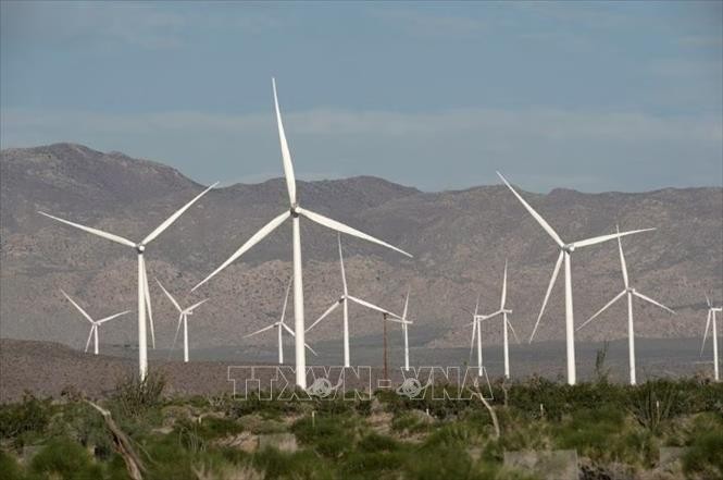 Các tua-bin sản sinh điện gió hoạt động tại California, Mỹ. Ảnh: Reuters/TTXVN