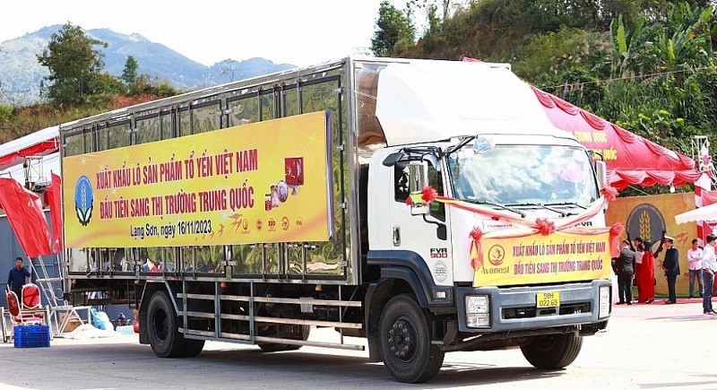 Công ty CP dinh dưỡng Avanest Việt Nam đã xuất khẩu lô sản phẩm tổ yến đầu tiên sang Trung Quốc.
