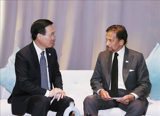  Chủ tịch nước Võ Văn Thưởng gặp Quốc vương Brunei Haji Hassanal Bolkiah. Ảnh: TTXVN.