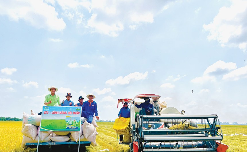 Chương trình “Cánh đồng hội nhập” hợp tác, hỗ trợ nông dân được PAN thực hiện thông qua đơn vị thành viên VFC hơn 10 năm qua