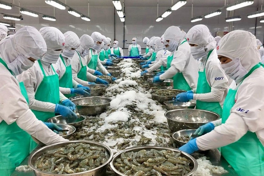 Thủy sản là nhóm hàng xuất khẩu sang Nhật trị giá gần 1,4 tỷ USD sau 11 tháng.