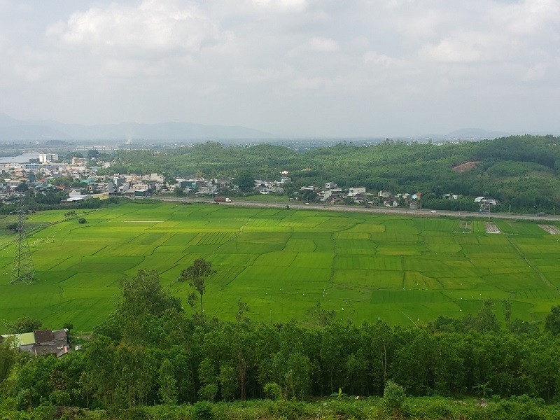 Đề xuất Dự án trồng rừng sản xuất quy mô 15.000 ha tại Quảng Ngãi