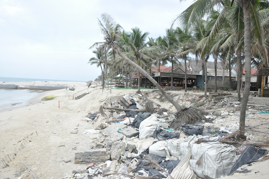 Bãi biển Cửa Đại (Thành phố Hội An) bị sạt lở nghiêm trọng trong những năm qua.