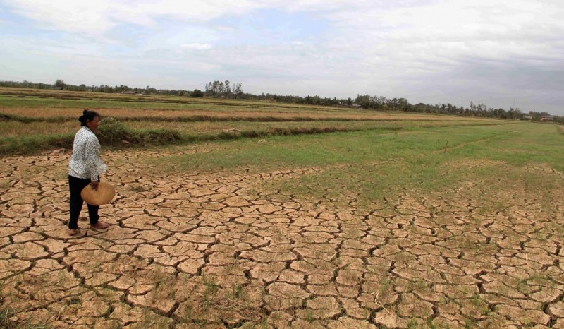 Các tháng mùa khô năm 2024, khu vực ĐBSCL có khả năng sẽ xảy ra hạn hán, thiếu nước, xâm nhập mặn