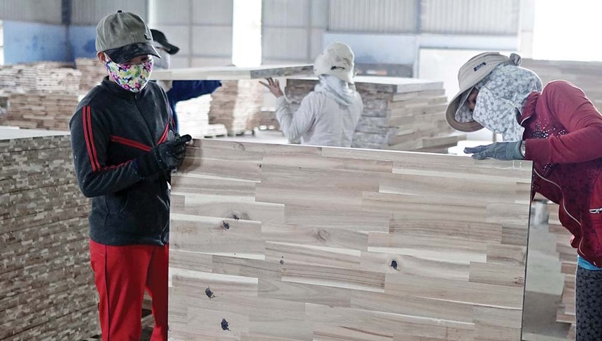 Ngành gỗ xuất khẩu đang gặp khó về đầu ra, đồng thời đối mặt với một số vấn đề liên quan sản xuất bền vững Ảnh: Đ.T