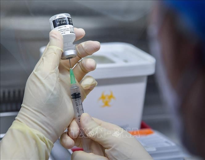 Vaccine phòng COVID-19 của Pfizer và BioNTech. Ảnh tư liệu: AFP/TTXVN