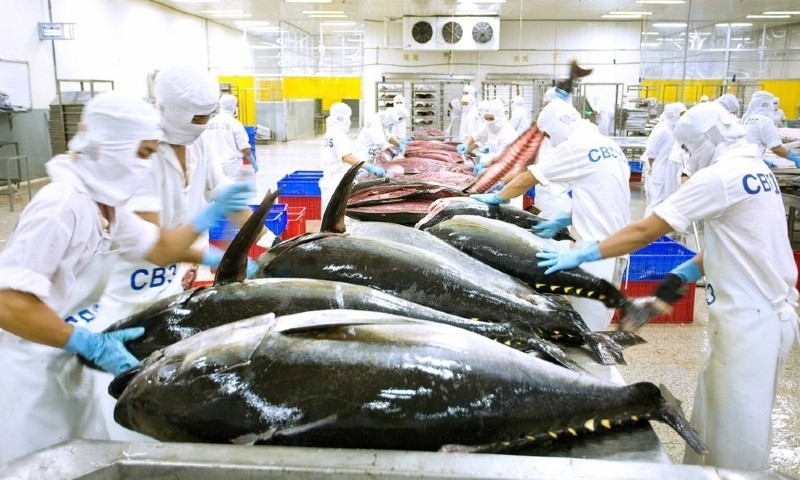 Cá ngừ Việt Nam rộng cửa ở Chile