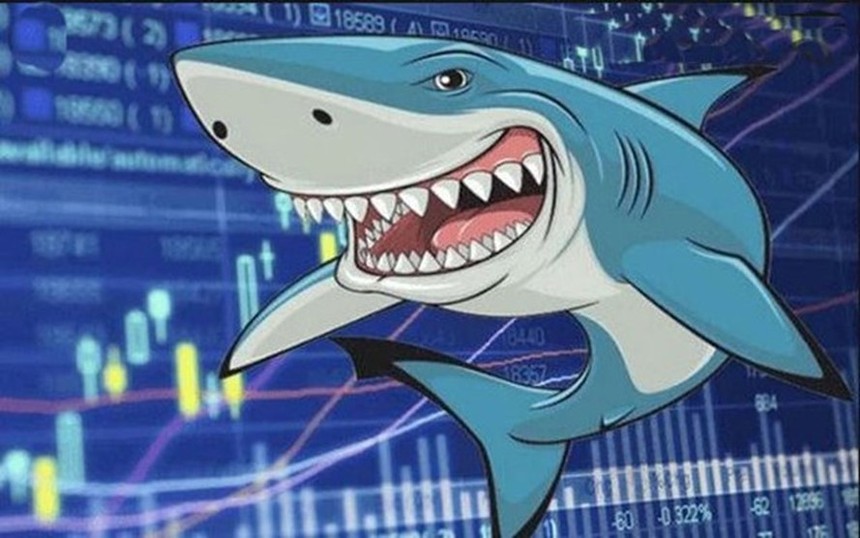Vốn tiền tỷ, nhà đầu tư “cá mập” có yêu cầu như thế nào với công ty chứng khoán?