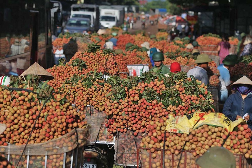 Trung Quốc là thị trường xuất khẩu chủ lực của ngành hàng rau quả, trái cây Việt Nam. Ảnh: Đức Thanh