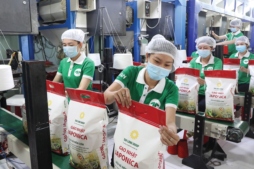Giá gạo Việt Nam xuất khẩu bình quân trong quý I/2024 tăng 23,6% so với cùng kỳ năm 2023