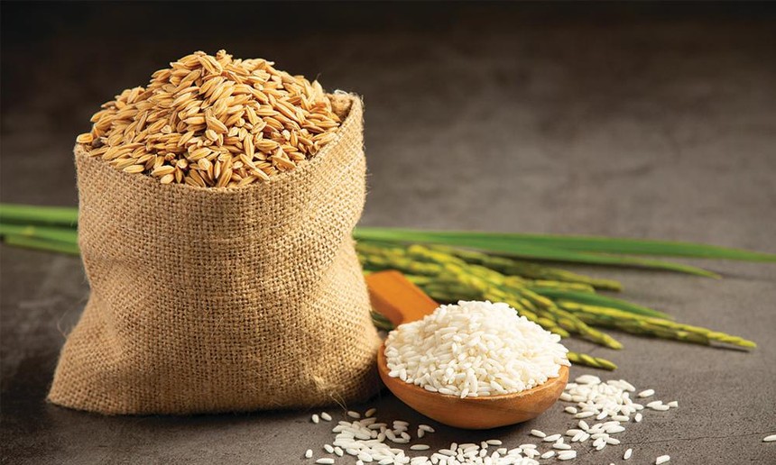 Cổ phiếu gạo “bình thản” trong mùa vàng xuất khẩu