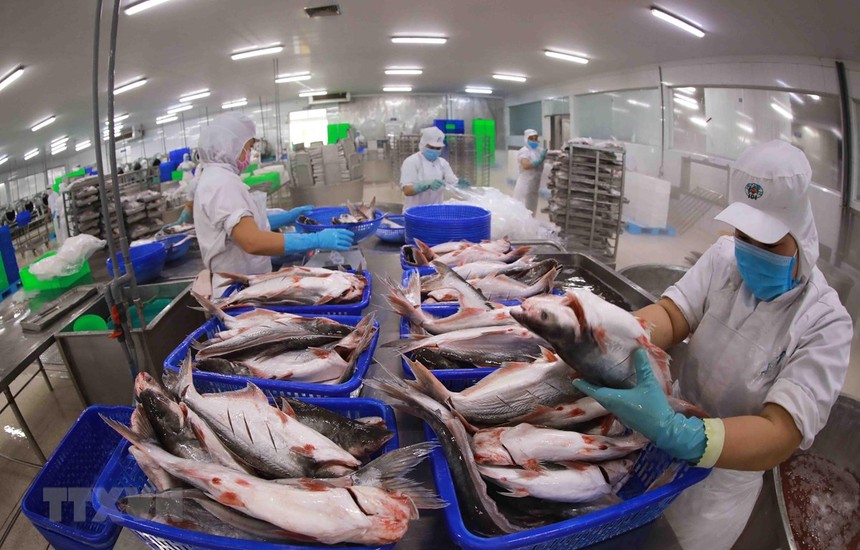 Xuất khẩu cá tra vào Trung Quốc tăng 26% trong tháng 2
