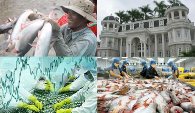 Cá da trơn Việt Nam xuất khẩu vào Mỹ sẽ phải đáp ứng tiêu chuẩn tương đồng với các nông trại Mỹ