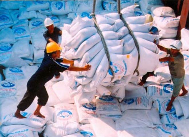 Chính phủ yêu cầu tăng cường quản lý xuất khẩu gạo