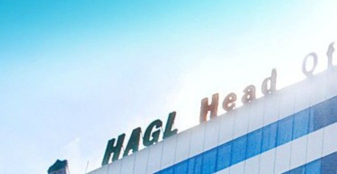 HAG bất ngờ hủy việc mua 10 triệu cổ phiếu quỹ
