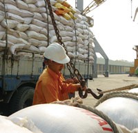 Xuất khẩu gạo vẫn duy trì đà tăng trưởng từ đầu năm.
