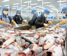 Không nên cho nhập khẩu những nguyên liệu mà Việt Nam có thế mạnh nuôi trồng.